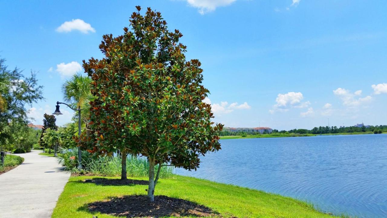 Palm Villa Orlando Zewnętrze zdjęcie